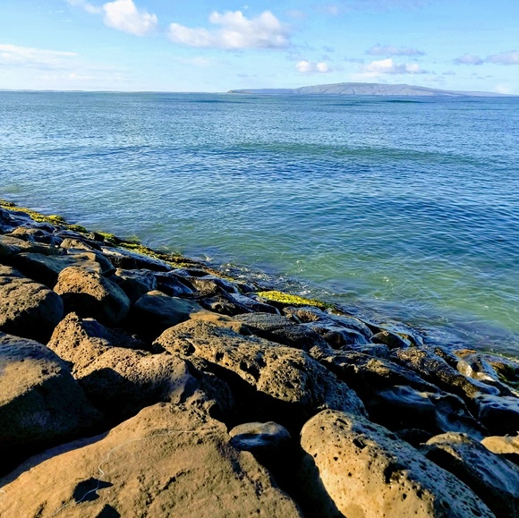 Meet your Posher, Noe! - Picture 5 of 5